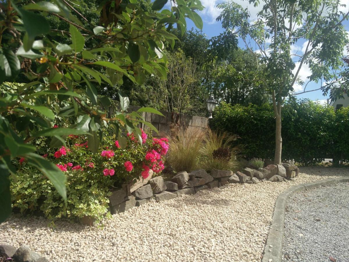 Foxhollow House Blarney Bagian luar foto