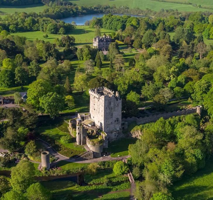 Foxhollow House Blarney Bagian luar foto