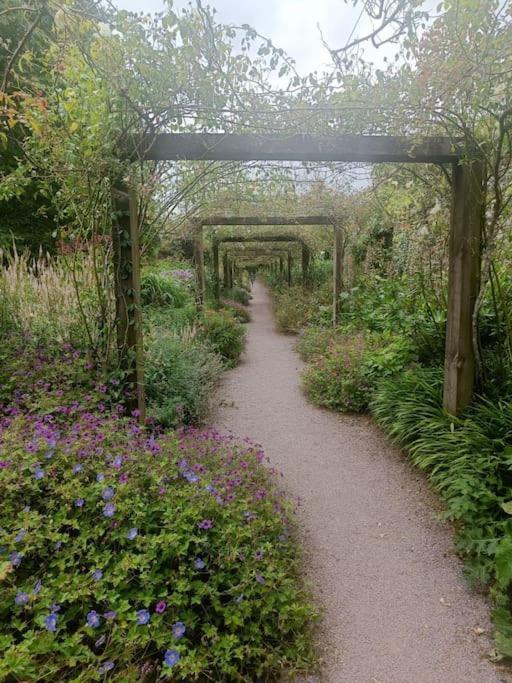 Foxhollow House Blarney Bagian luar foto