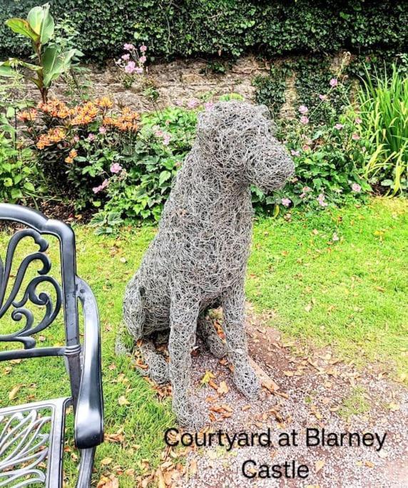 Foxhollow House Blarney Bagian luar foto