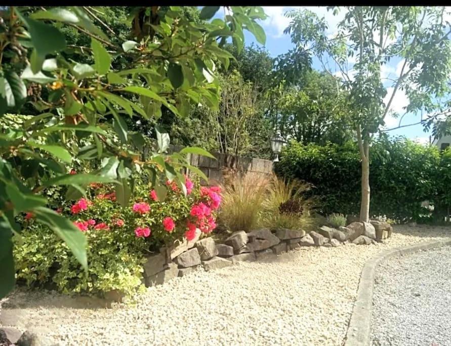 Foxhollow House Blarney Bagian luar foto