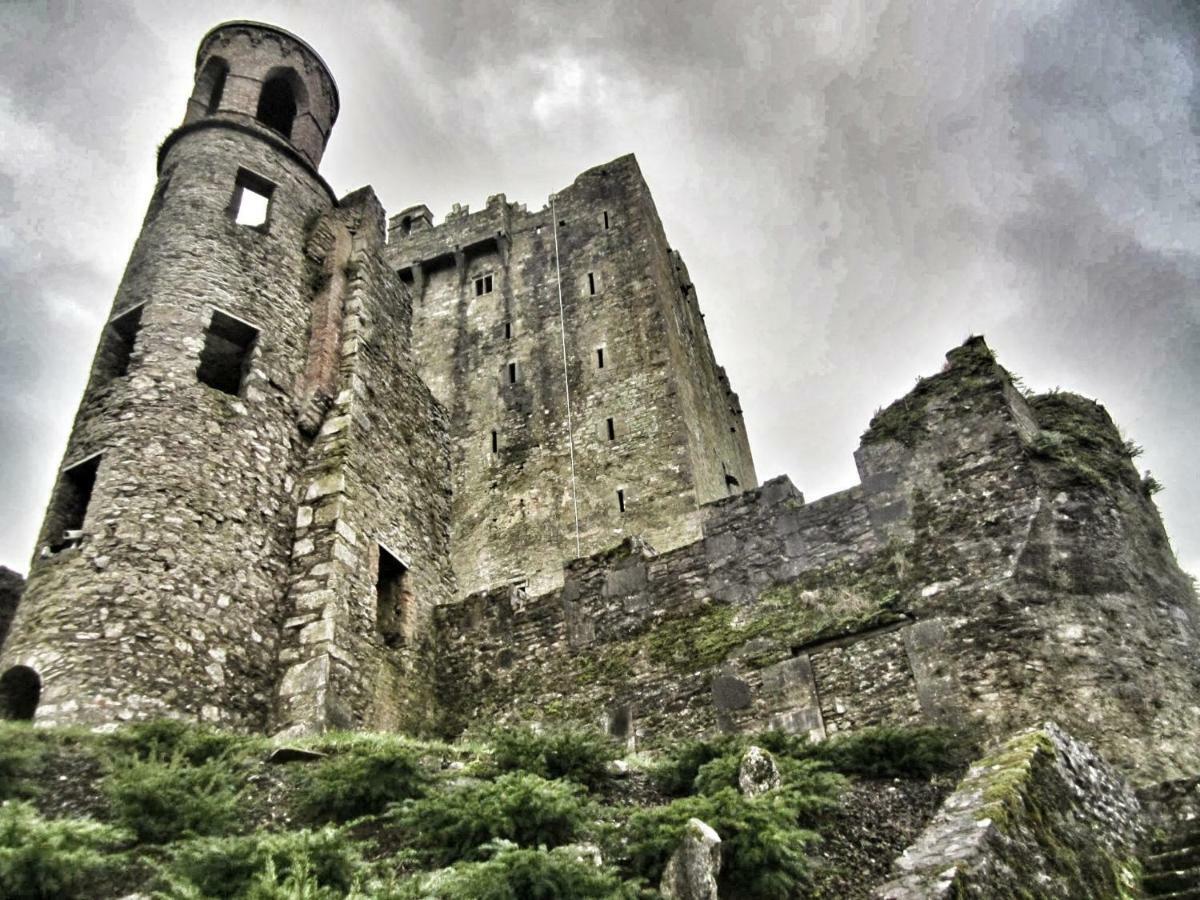 Foxhollow House Blarney Bagian luar foto