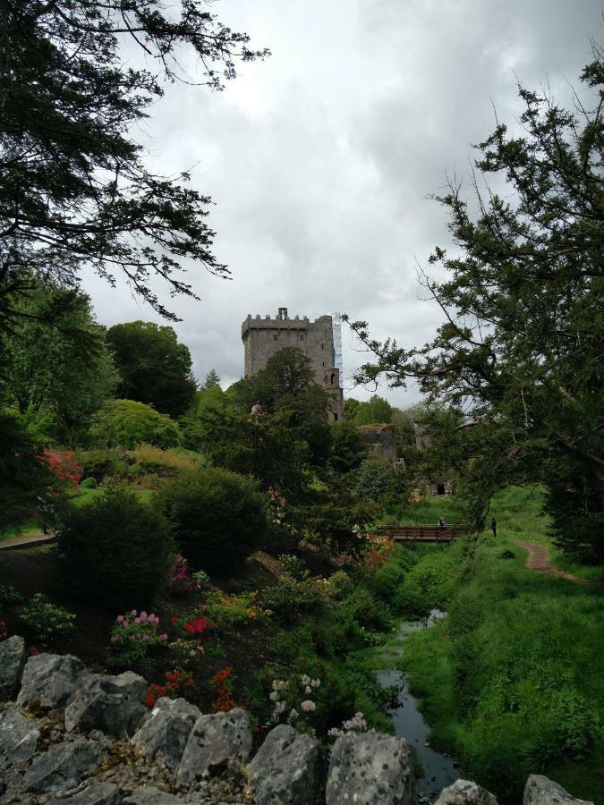 Foxhollow House Blarney Bagian luar foto