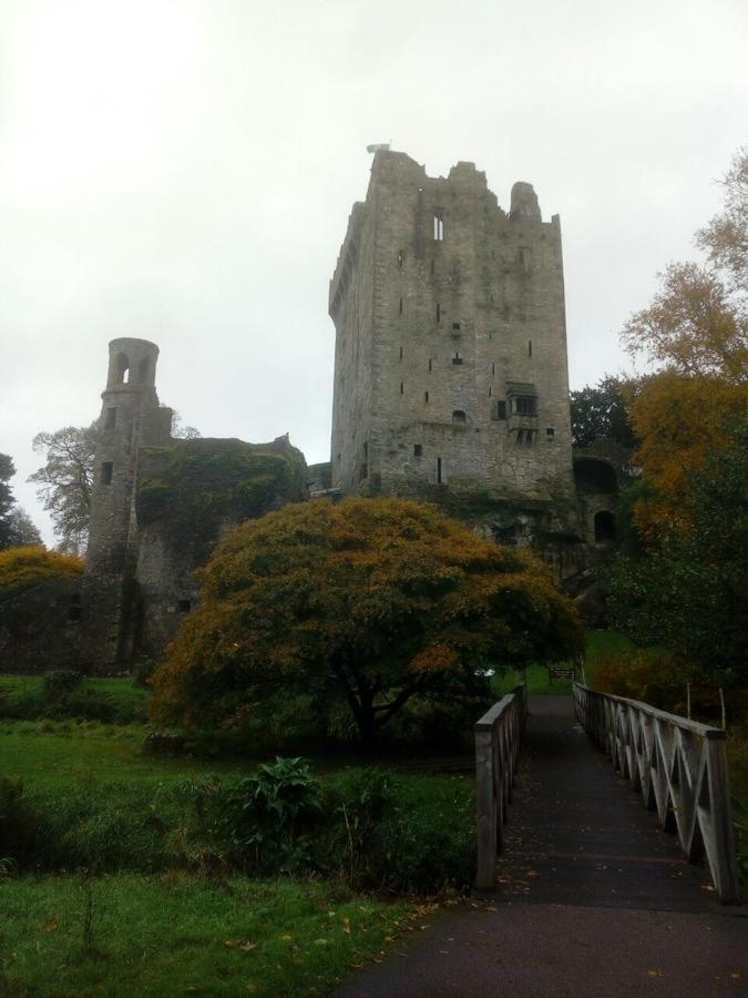 Foxhollow House Blarney Bagian luar foto